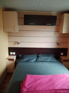 加斯泰MOBIL HOME 43 dans Camping 4 Etoiles的一间卧室配有一张带粉色毯子的大床