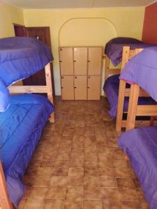 Hostel Wenuy-客房内的一张或多张双层床
