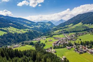 阿尔卑巴赫贝尔格瓦尔德酒店的享有山脉村庄的空中景致