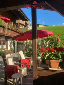 阿尔卑巴赫贝尔格瓦尔德酒店的庭院设有椅子和遮阳伞,鲜花盛开