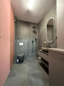 克卢日-纳波卡Oasului Residence的一间带卫生间、水槽和镜子的浴室