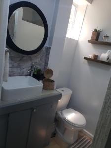 卡斯特里Jean Olive的一间带水槽、卫生间和镜子的浴室
