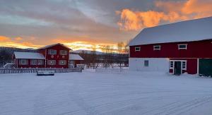 廷瑟Harekroken的一座红谷仓,位于雪覆盖的田野上,有一座建筑