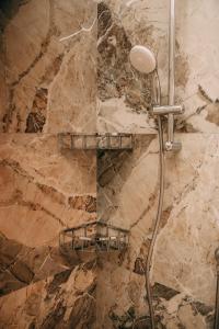 维罗纳Verona Dolce Casa的带淋浴的浴室(带石墙)