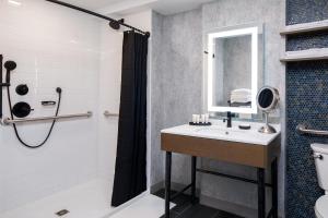 查塔努加Hotel Indigo Chattanooga - Downtown, an IHG Hotel的一间带水槽和淋浴的浴室