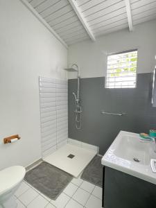 圣弗朗索瓦Résidence Subtropicale的带淋浴和盥洗盆的浴室