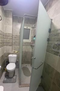 加利布港Fantasy的一间带卫生间和淋浴的小浴室