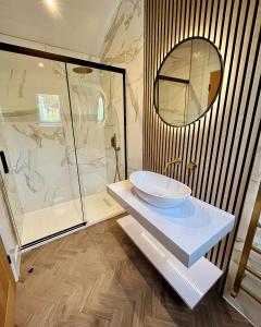 阿卡莱克明加里公园旅馆的一间带水槽和玻璃淋浴的浴室