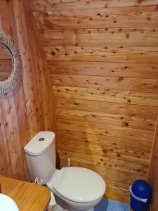 卡纳芬The Pod Fabulous glamping pod near Snowdonia.的一间带卫生间和木墙的浴室