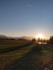 格拉本斯塔特Beim Haasen的太阳在远处的一片田野
