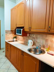 布达佩斯特大号床公寓的厨房配有水槽和微波炉