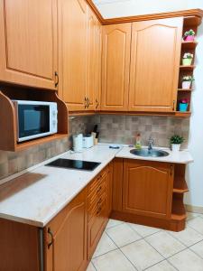 布达佩斯特大号床公寓的厨房配有木制橱柜、水槽和微波炉
