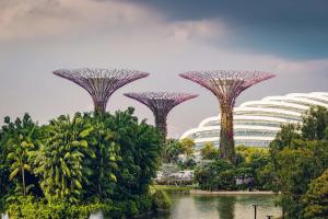 新加坡Conrad Centennial Singapore的公园里的一群树木和建筑物