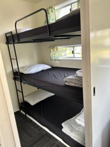 巴特曼斯贝Batemans Bay Holiday Park & Hostel的客房设有两张双层床和一扇窗户。