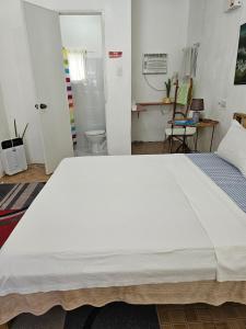DaanbantayanD & N LODGE的配有浴室的客房内一张大白色的床