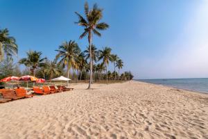 富国Hana Hotel Sonasea Night Market Phu Quoc的海滩上,有椅子和棕榈树,还有大海