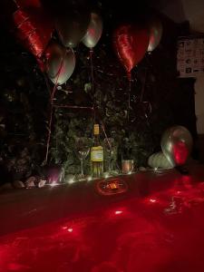 温克兰Studio Apartment Mare with private garden and jacuzzi的桌上的派对,包括气球和酒杯