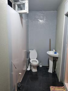 阿哈尔齐赫Lux Apartment Tea的一间带卫生间和水槽的浴室