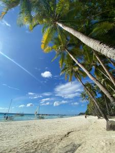 长滩岛长滩岛可可旅馆的海滩上一棵棕榈树和大海