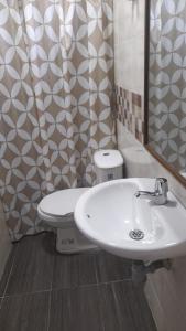 比亚维森西奥Hotel Zarina的一间带水槽和卫生间的浴室