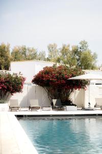 圣马迪拉莫Mas de la Fouque - Hôtel & Spa的一个带椅子和鲜花的游泳池以及遮阳伞