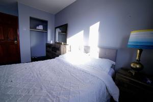 安克雷奇Quiet And Comfortable Deluxe的卧室配有白色的床和蓝色的墙壁