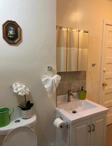 东奥兰治Victorian Palace 3的一间带水槽、卫生间和镜子的浴室