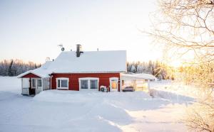 RaiskioHommala的屋顶上积雪的红色小房子