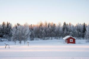 RaiskioHommala的雪地里的一个红谷仓,有树木