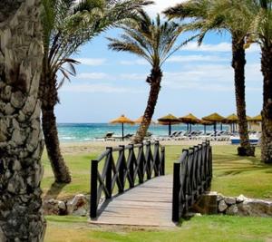 多列毛利诺斯Playa de Los Álamos-Playamar Torremolinos Málaga.的通往棕榈树海滩的木制走道