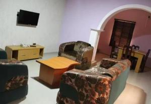 OgbodoAyoluyem Aparthotel and Suites的带沙发和平面电视的客厅