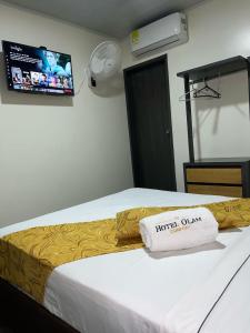 比亚维森西奥Hotel Olam Confort的酒店客房,配有一张带枕头的床