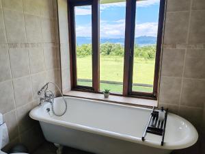 伯格维尔德拉肯斯堡山度假酒店的带浴缸的浴室和窗户