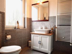 普鲁滕Ferienhaus Ostsee - a70522的一间带水槽、卫生间和镜子的浴室