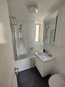 费尔德基希2 bedroom Apartment at Bahnhofcity的白色的浴室设有水槽和淋浴。