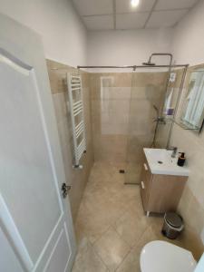 蒂米什瓦拉Fanea Residence的带淋浴、盥洗盆和卫生间的浴室