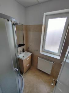 蒂米什瓦拉Fanea Residence的一间带水槽和窗户的浴室
