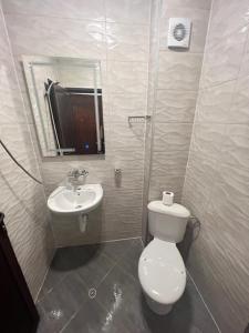 特里亚夫纳Tryavna Lake Hotel & SPA的一间带卫生间和水槽的浴室