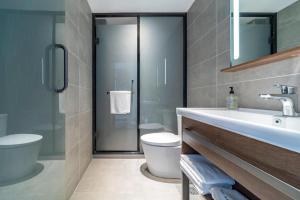 Ssu-t'uan-ts'angHanting Hotel Shanghai Safari Park Nanzhu Road的一间带水槽、卫生间和镜子的浴室