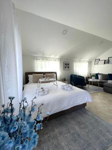 布德瓦Apartments Pribilovic的一间卧室设有一张床和一间客厅。