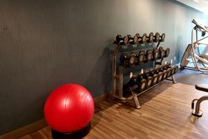 弗莱明顿弗莱明顿汉普顿酒店的一个带红色球和重量的健身房
