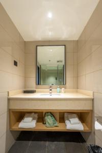乃东City Comfort Inn Shannan Passenger Terminal的一间带水槽和镜子的浴室