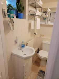 伊斯特布恩Hidden Gem的浴室配有白色水槽和卫生间。