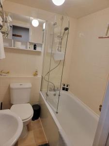 伊斯特布恩Hidden Gem的带淋浴、卫生间和盥洗盆的浴室