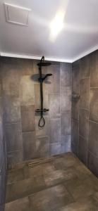 贝尔纳蒂Campsite Ģirti的一间带淋浴的浴室,墙上设有架子