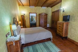阿兰赫Hotel Rural La Sinforosa的一间卧室配有一张大床和电视