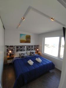 乌斯怀亚Rincon del Beagle的一间卧室设有一张蓝色的床和大窗户