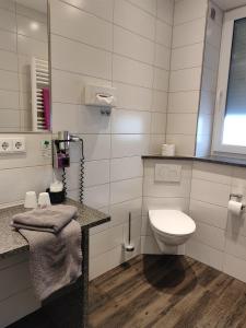 腓特烈港Hotel Gästehaus Stock Zimmer Teekännle的一间带卫生间和水槽的浴室