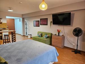利马Alojamiento San Francisco Espaciosos y lindos mini apartamentos的卧室配有一张床,墙上配有电视