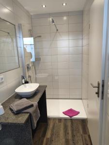 腓特烈港Hotel Stock Bäckerstüble的白色的浴室设有水槽和淋浴。